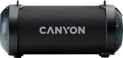 Беспроводная колонка Canyon CNE-CBTSP7