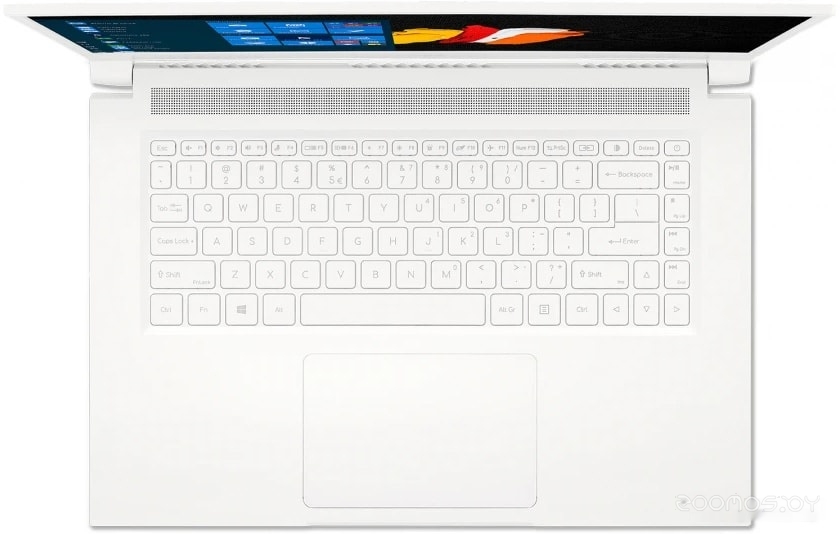 Рабочая станция Acer ConceptD 3 CN315-72P-763N NX.C5ZER.001, фото 4
