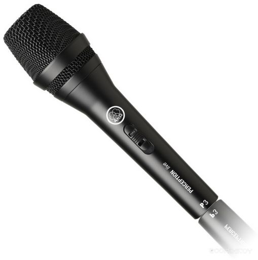  Akg P3 S