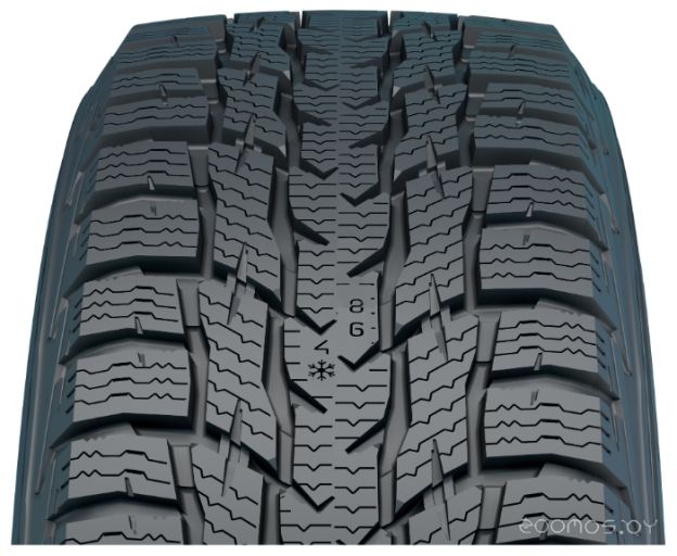 Шина Nokian WR C3 215/65 R15 104/102T, фото 1