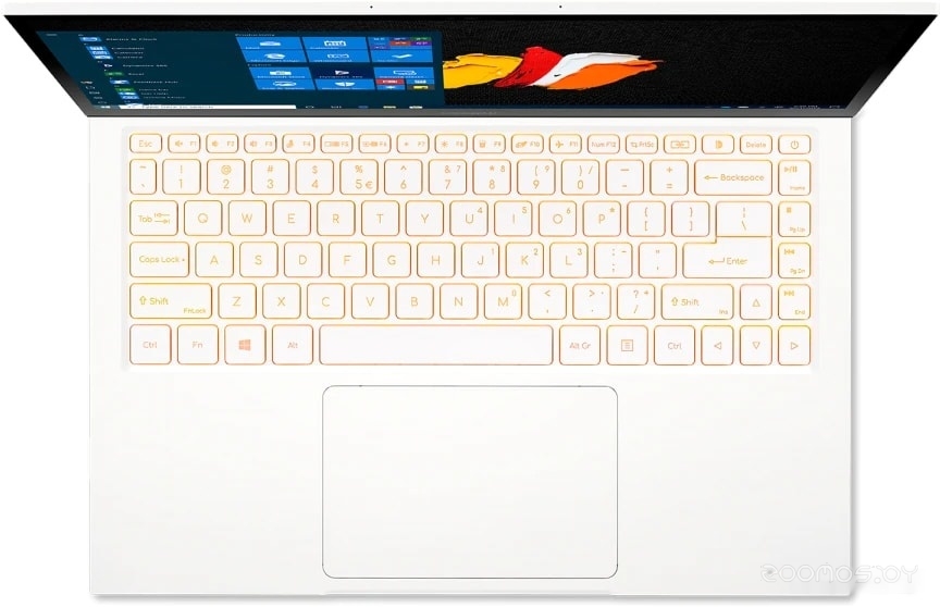 Ноутбук 2-в-1 Acer ConceptD 3 Ezel CC314-72G-59P0 NX.C5HEU.005, фото 29