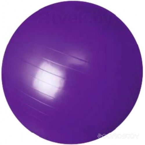 Мяч гимнастический Sundays Fitness IR97402-75 (фиолетовый)