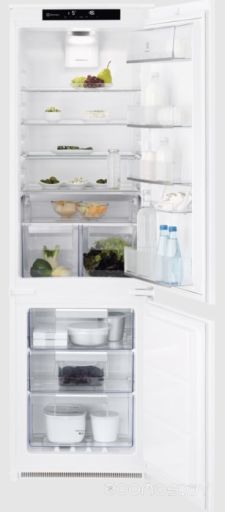 Холодильник Electrolux RNT8TE18S, фото 1