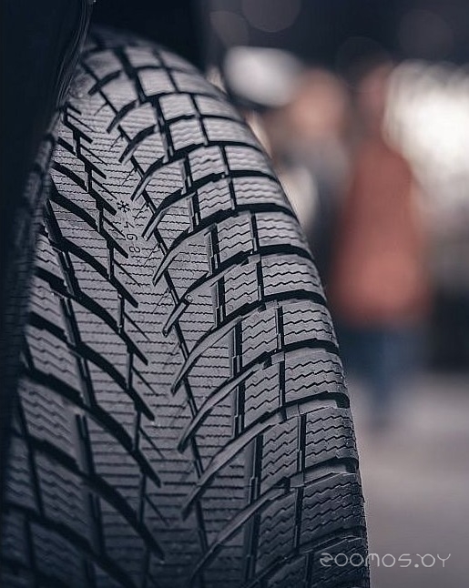 Шина Nokian WR Snowproof P 255/40 R19 100V, фото 3