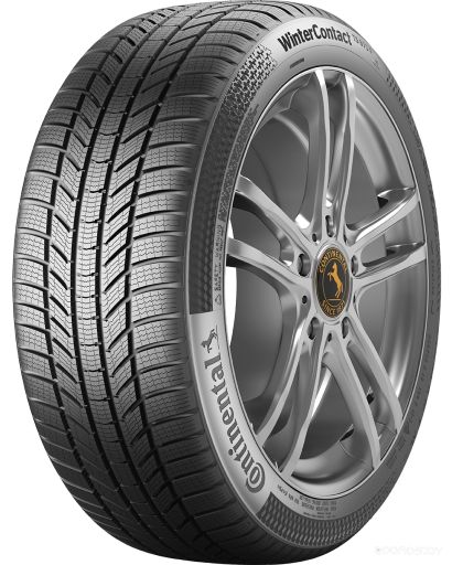 Шина Continental ContiWinterContact TS 870 P 215/65 R16 98T, фото 1