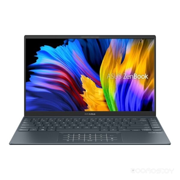 Ноутбук Asus ZenBook 14 UM425UA-KI167R, фото 3