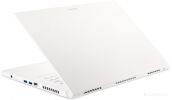 Ноутбук Acer ConceptD 3 CN315-72G-565R (NX.C5XEU.003)