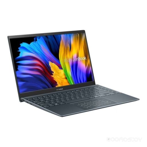 Ноутбук Asus ZenBook 14 UM425UA-AM023, фото 1