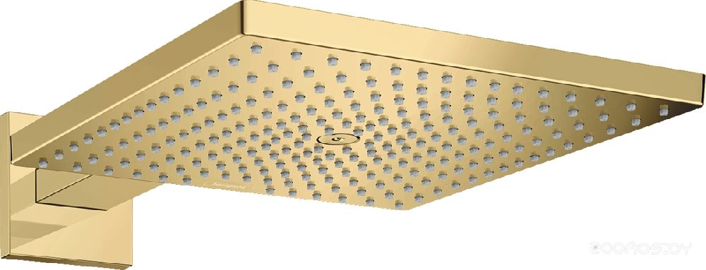 Душевая система Hansgrohe Raindance Е 300 26238990, фото 1