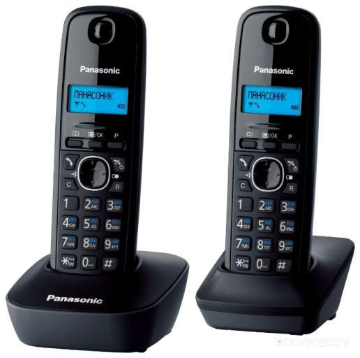 Радиотелефон Panasonic KX-TG1612, фото 1