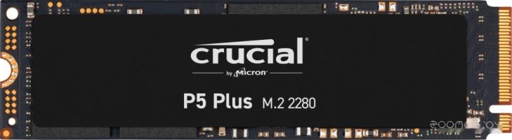 SSD Crucial P5 Plus 1TB CT1000P5PSSD8