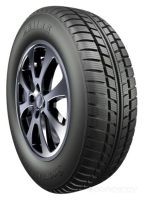 Шина Petlas Snow Master W601 165/70 R13 79T