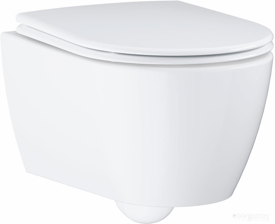 Унитаз Grohe Essence 3957100H, фото 2