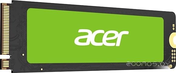 SSD Acer FA100 256GB BL.9BWWA.118, фото 1