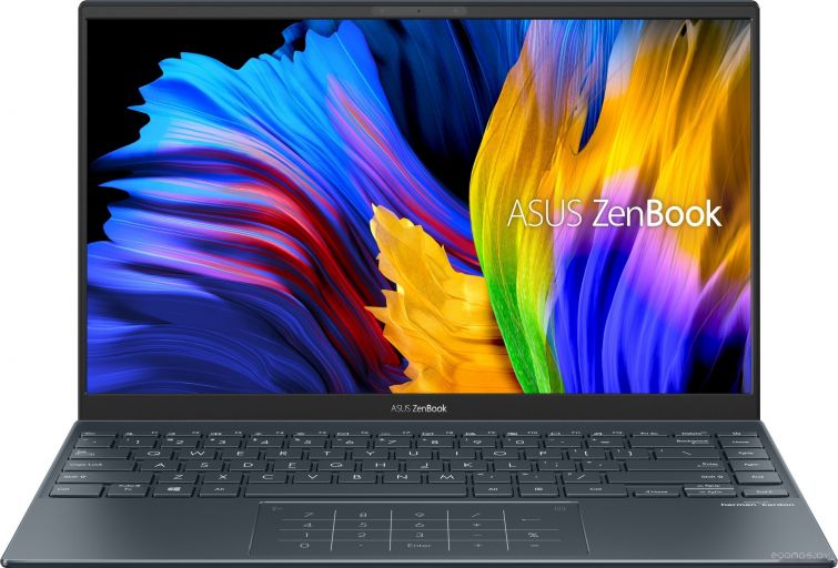 Ноутбук Asus ZenBook 14 UM425QA-KI137, фото 1