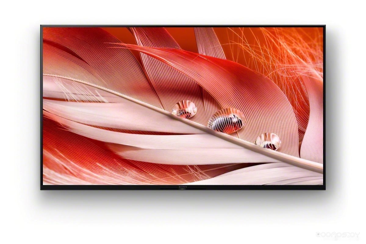 Телевизор Sony XR-55X90J, фото 11