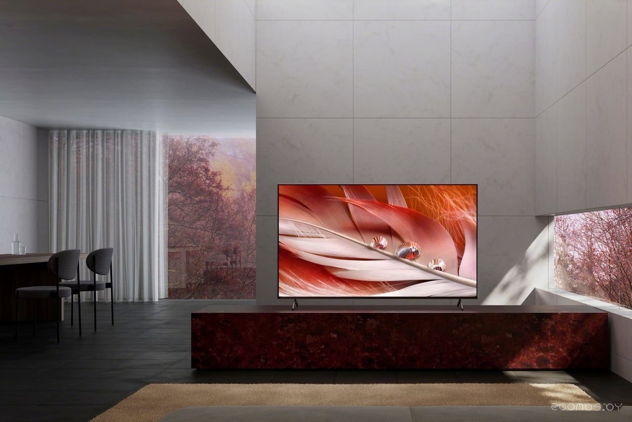 Телевизор Sony XR-55X90J, фото 3