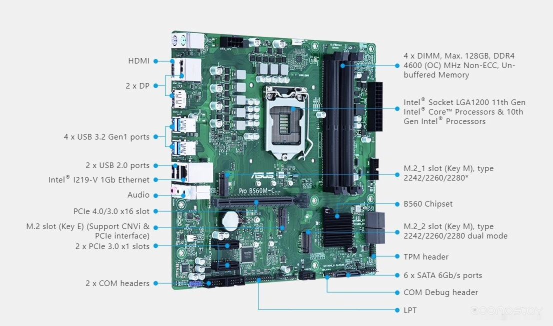 Материнская плата Asus Pro B560M-C/CSM, фото 8