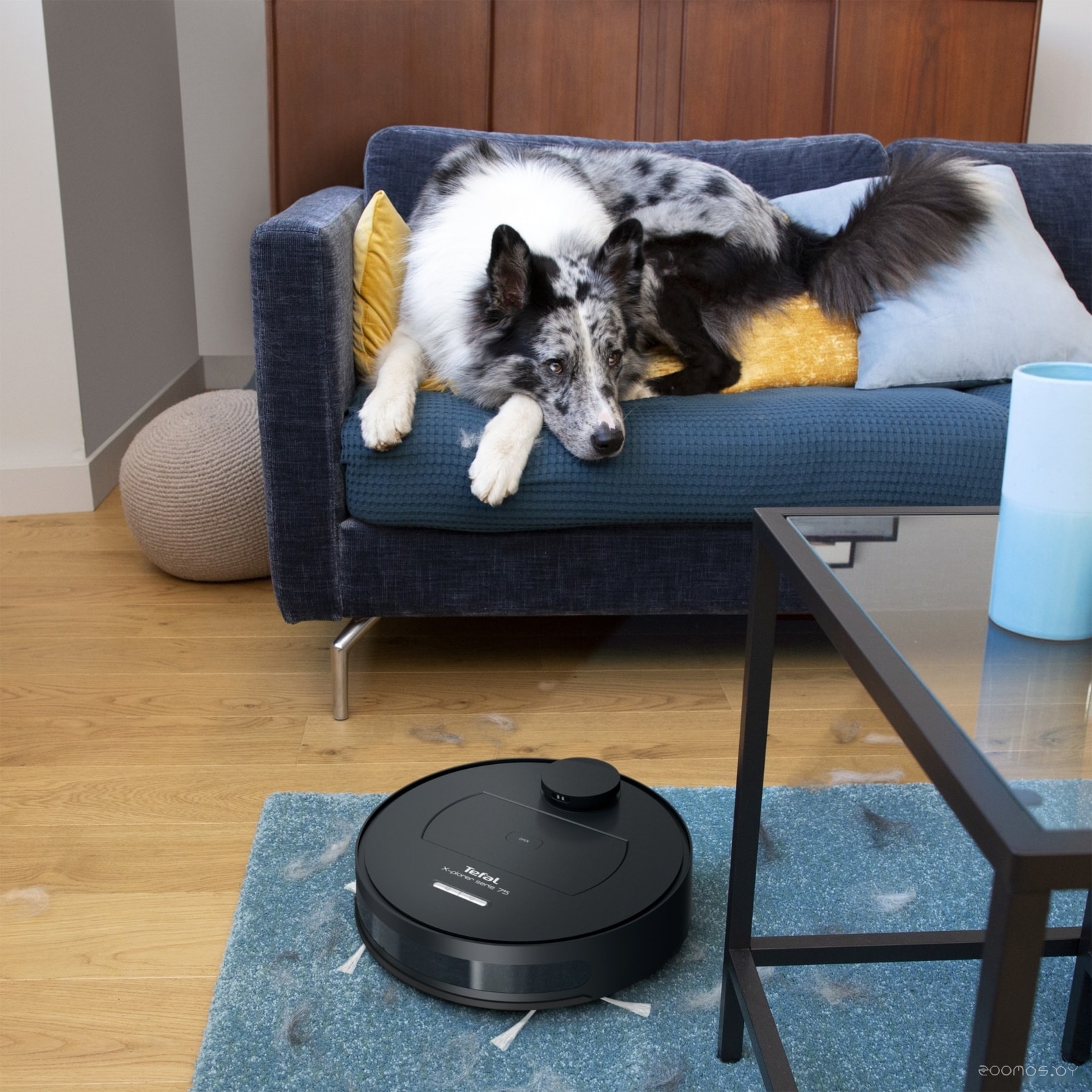 Робот-пылесос Tefal X-plorer Serie 75 Animal RG7675WH, фото 8