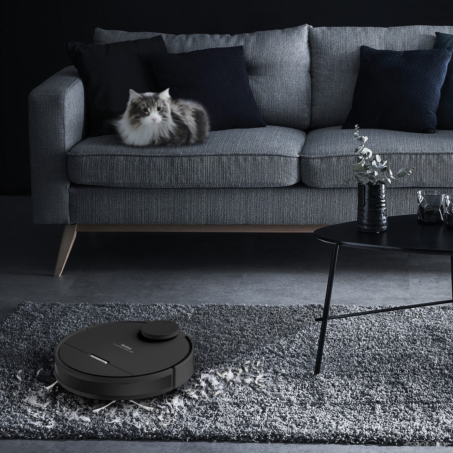 Робот-пылесос Tefal X-plorer Serie 95 Animal RG7975WH, фото 7