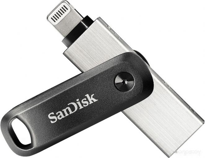 USB Flash SanDisk iXpand Go 256GB SDIX60N-256G-GN6NE