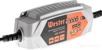 Зарядное устройство для аккумуляторов Wester CD-2000