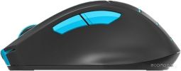 Мышь A4Tech Fstyler FG30 (черный/голубой)
