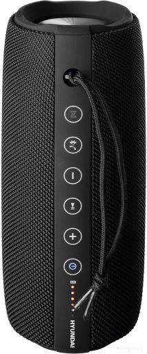 Беспроводная колонка Hyundai H-PAC340