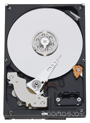 Жесткий диск Western Digital WD3200AAKS, фото 1
