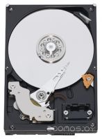 Жесткий диск Western Digital WD3200AAKS