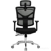 Кресло Evolution ERGO Fabric (черный)