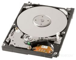 Жесткий диск Toshiba MK3261GSYN