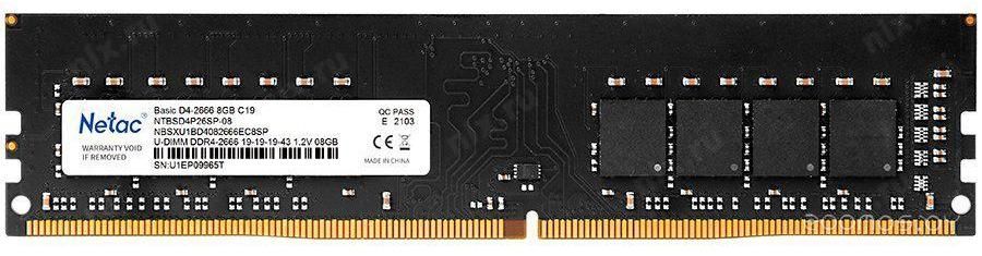Оперативная память Netac Basic 8GB DDR4 PC4-25600 NTBSD4P32SP-08
