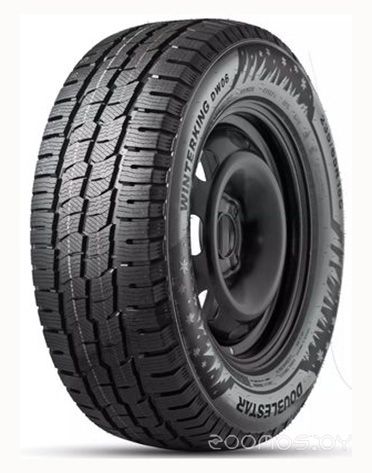 Шина DoubleStar DW06 205/65R16C 107/105R, фото 1