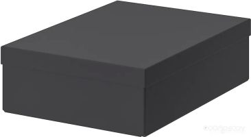 Коробка для хранения Ikea Тьена 003.954.88