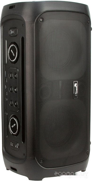 Колонка для вечеринок Eltronic 20-34 Dance Box 300, фото 4