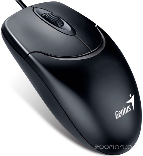 Мышь Genius NetScroll 120 V2 (Black), фото 2
