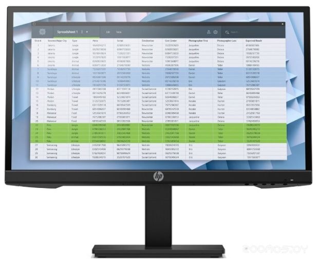 Монитор HP P22 G4, фото 1