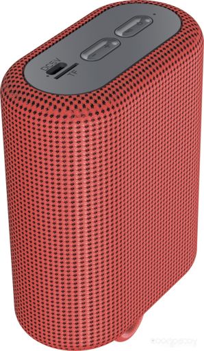 Беспроводная колонка Canyon CNE-CBTSP4R
