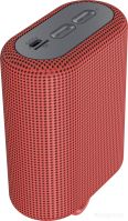 Беспроводная колонка Canyon CNE-CBTSP4R