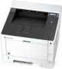 Принтер KYOCERA MITA ECOSYS P2040dw