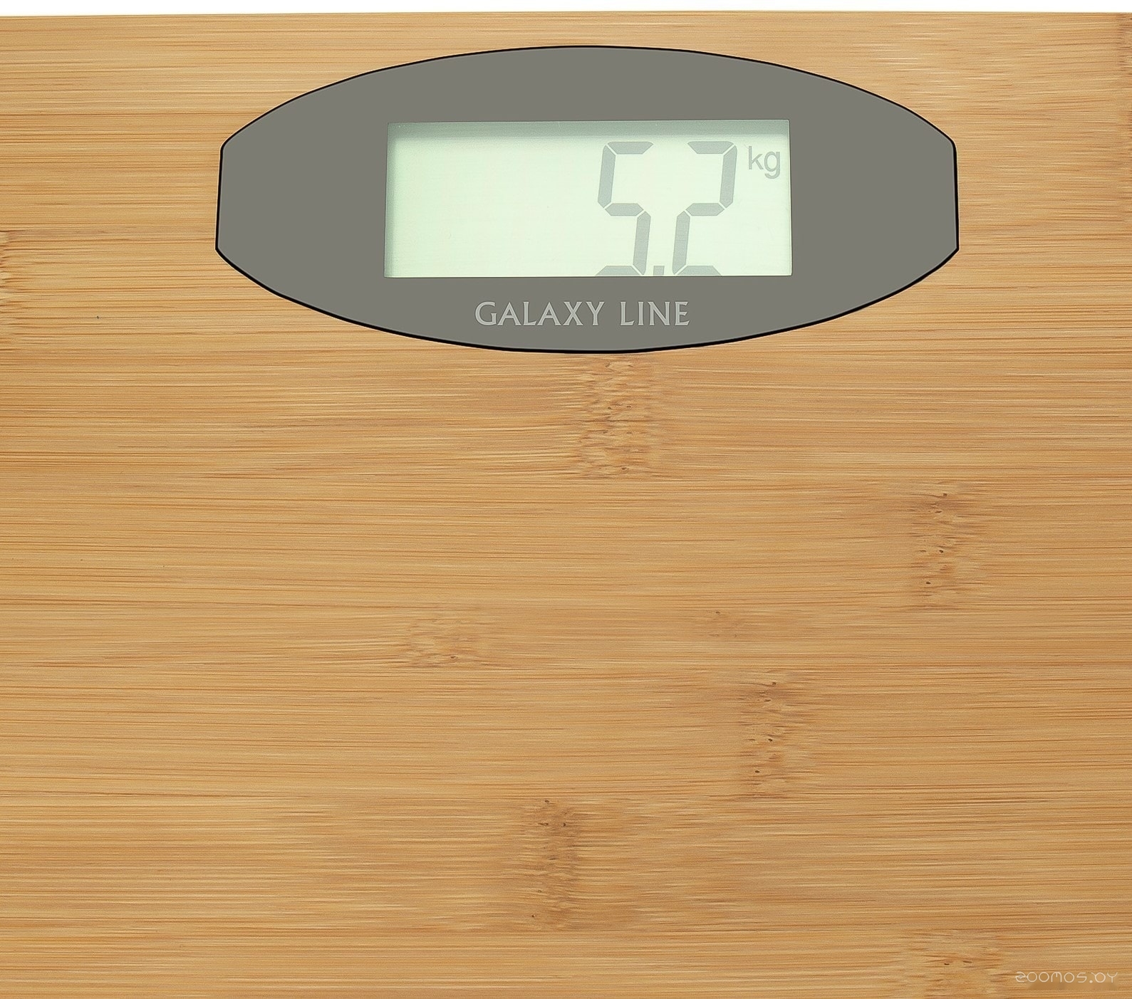 Напольные весы Galaxy Line GL4812, фото 2