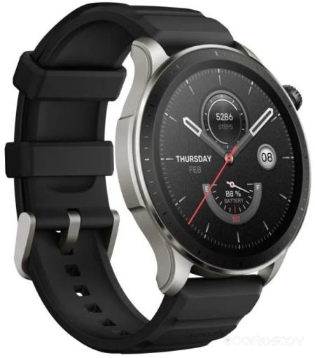 Умные часы Amazfit GTR 4 / A2166 (черный)