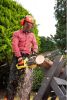 Электрическая пила Ryobi RCS1935B