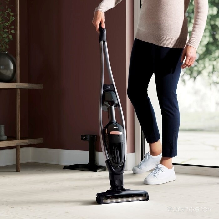 Пылесос Electrolux PQ91-40GG, фото 7