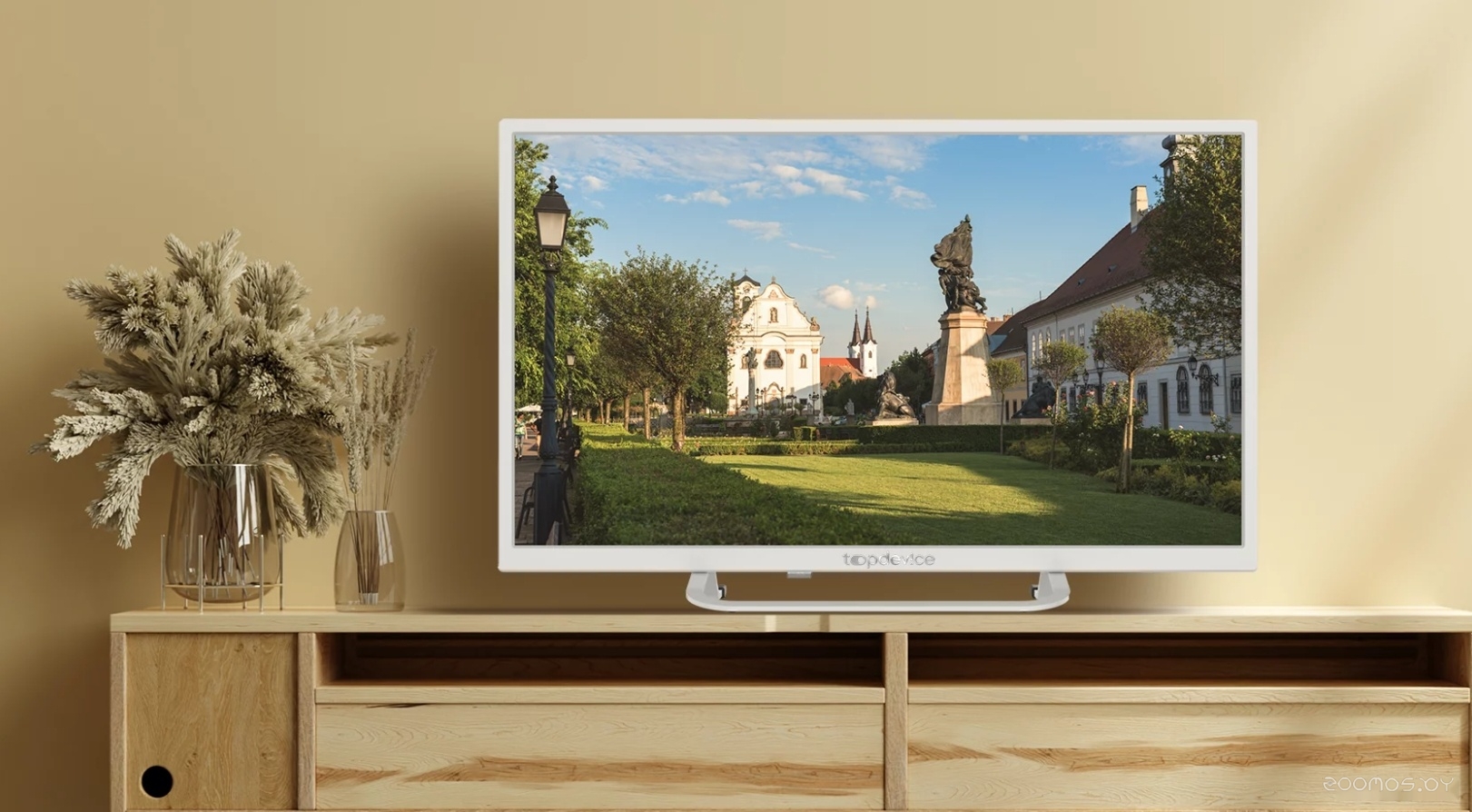 Телевизор TopDevice TDTV24BS02HWE, фото 4
