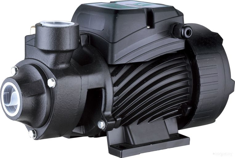 Самовсасывающий насос Pumpman QB80N, фото 1