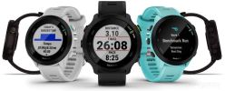 Умные часы Garmin Forerunner 55 (черный)