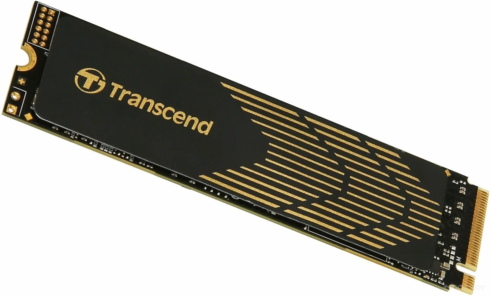 SSD Transcend 240S 1TB TS1TMTE240S, фото 3