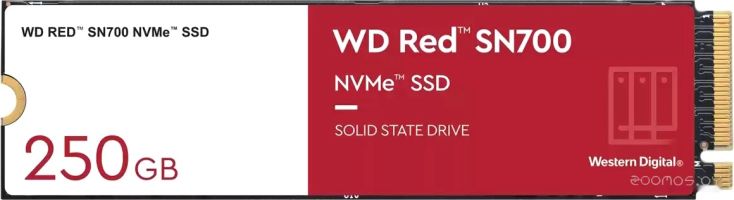 SSD Western Digital Red SN700 250GB WDS250G1R0C